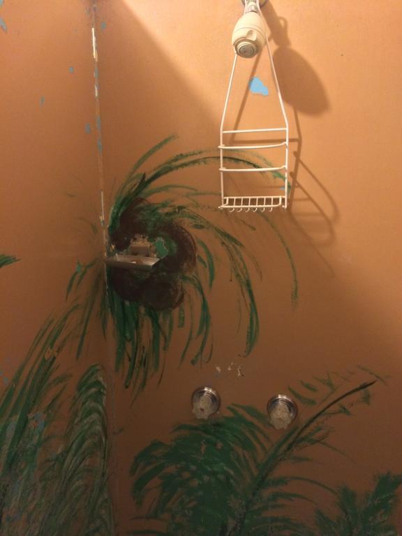 Hotel Honokaa Pokoj fotografie