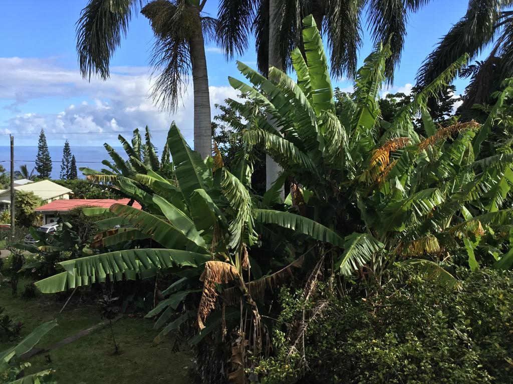 Hotel Honokaa Exteriér fotografie